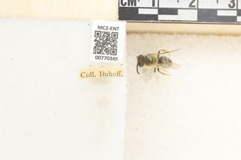Media type: image;   Entomology 770345 Aspect: Labels
